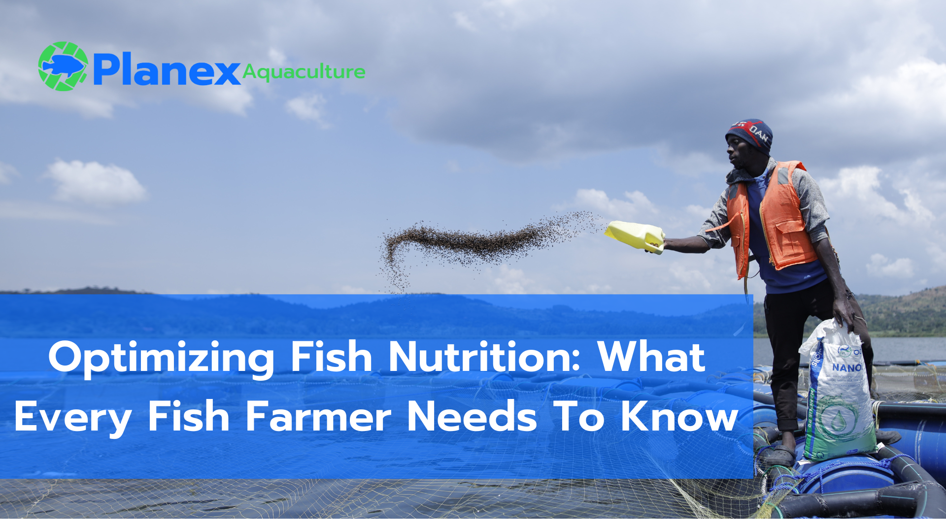 Optimizing Fish Nutrition: What Every Fish Farmer Needs To Know